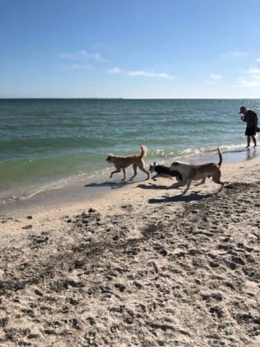 AC9h4nrjtHIdIZquYncqQIsYu8re EchhrOcp0k7e3brI029qe28TrMlrhgXqHLiKmpz3EqBWh7XgKITrT0Ks6FmzWThem FsIqTWCeKbdgNCra4JFzfVCds3 oweaYClE rkZkK22lqw1600 h1000 k no