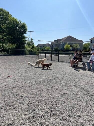 AC9h4nrk6ph4CREIV7RPy3TxLAjzx6w4V3uHEG1JuIPxYxoH o9H2S9ka2KlOYhDEz4NlKrDZZSrAl8znQtgOK5o4K2b3iZWs68sB9XY 338O3BXaS6f5q3dr2yYMUDVmzZ5d9 uloPgw1600 h1000 k no