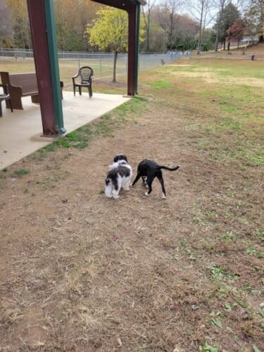 AC9h4nrkMKtey lylSXCSY5i8GGtn9bcdrbQ1a34pU8hZxVbP8JAj0sOL15b y4cTMJBh7P5r U 7p08J7IeHWh9T3zfFYM2Lan3Dzx FkrC59Ta6SlUpJsbd0rpg0lJ2qA1eHTXPvs8w1600 h1000 k no