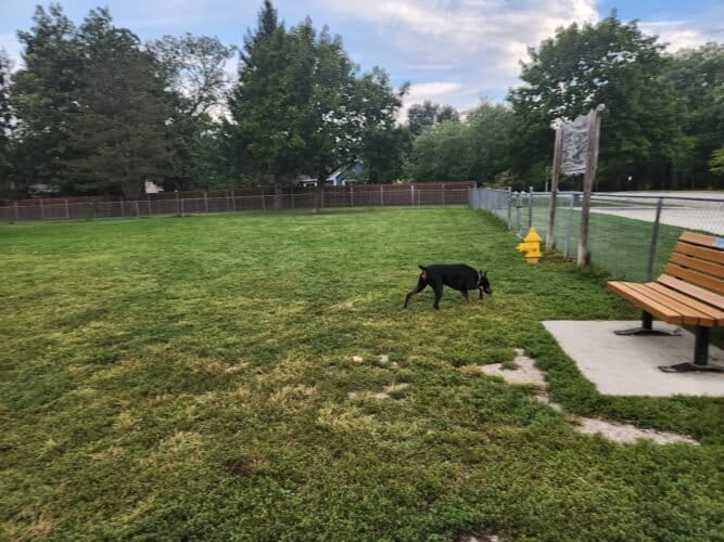 AC9h4nrkNJCHzACS5jjJq1t4W5Ujme 7HAAYboLqqh QWosuugfxafPeHzs4372p6zvAOhPNC1Cp66qf5SW19En219rKe2u9jwKM4B1czsEwR80FrjEC5Z LsbefKTb4V6kKsqw Og0w1600 h1000 k no