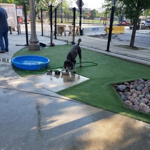 AC9h4nrkUG1l9zUOLOO67d0fISHSim0yvE93jyW CRl2VLZxwpgjX3R75N pc0WICCjOmeg pWdQykgO sg4 9OLKliEQmxd6L2QfeAyCBL3zFm46uEnxsRsMJNE1RfGt9htnjv cJ8w1600 h1000 k no