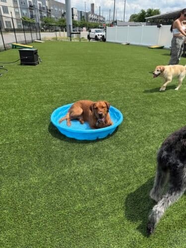 AC9h4nrkZoutHPIOdYUhQbwDGWeu55MGUSYfqi09xAwc3ThgOjs0GAyiq3w 48MOvQJnbKHlgBJoWc8n HP4BWMdyHywieT uPAakp2G3UpVHagPyD3iZvBEvEmjwhHR44FxHQDr3RhYw1600 h1000 k no