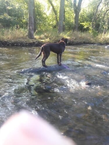 AC9h4nrkaIK4AgipMJAZ9XBytgIxgvxVc1HCHjKGiszri1cDJiJEzhMGKo7ZhpZI6rWsQBuRKotrxz0SVDVp3qL y2Mbs4kARcQs vULXg1B1A5Il2BaBJ7TdIVGPIRVQXAcW592gZ04w1600 h1000 k no