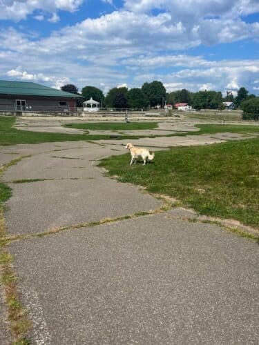 AC9h4nrkeUOCPm6KAGff3QLqKy2iNfcAVBPx RSyMahfM25ZtHAHzJQYQE U1oY5I5jBMs1ZQyBKq 8Y7ItXKIbkQLbNesLncG QPa cYXXOyM3y4U85Mzum BvREOoGynJ 0t25BQw1600 h1000 k no