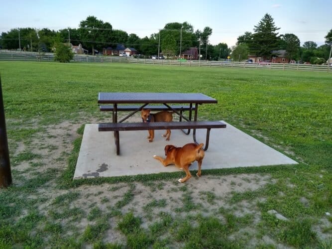 AC9h4nrklzRZmg6bS0Y5O40g2JVj69bGwmf9PVZaGZH7IbCHRKOj98vx3wgtc9ggdDZQ4bUPqXDaW6NgvTsol7Aujjj6z0BYEqRn8 eZb7GlS5uB7JXMZ6pJ NA5NZkLWCstOqVb9ol3w1600 h1000 k no