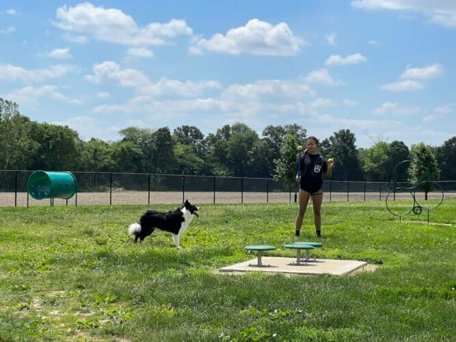 AC9h4nrkqZczNXGICqyfD IZ89QGX1NdXtz6NWoiZZ7l8Mzkl19LgVewojkOxzerwmWj5ATYWC8rQitHlsiYPSsas 0Pmu6kGYBdMu7jzrwxUtfK1QxAv7vaMHLXv 0wHhkAmKVNNutWzQw1600 h1000 k no