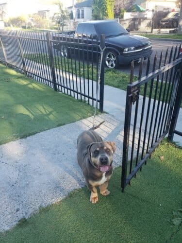 AC9h4nrkvPwdAVsu3fNgdKkG0EcOQBYDSyFzboeASlbmBHKt6DPGjBvIdJKvfgixPPETpT3yqEG7BAyP2icVVi4KOa j2MU7KQjjpzJ0Dc HQ3PkLMzBhzu7bMVxBsglJuesE6LoQSjiugw1600 h1000 k no