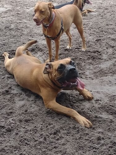 AC9h4nrlGBX8KG Affdvl4t9yHY0k1IQnctvTpNwNxtCZidFMzddV3K29sA25HemsLrDqDoXRklLWg 6XmAFhFrt7YaLQJsIlAtJYKiBTcUVh16RqlXcg5Z8Dnbas4JCgKTFd2N24WuKw1600 h1000 k no