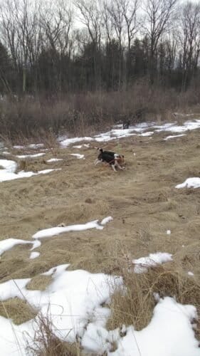 AC9h4nrlSEdtw0Zd3 9y8OOI0BW1LTyx0uDLAe26OLUDAqbIgulBq8lA6tGdqEmJ9F5LWImxx4539dluVWH4qIZaAite8hP4wIrQLS9kGGoDE1fIuIxIYneRLe9L3wQDdOhjLL RoDuSw1600 h1000 k no