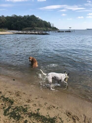 AC9h4nrlnCze0ZNVI2vJ 2rLc5PMK7FmMK3rLVymXyh1H75NPTLSWKt8zXDFQqhku1njE9XBcvlYr3RUfki3fmEVlOgZeqS8Q9vIVwdWcoLEeSuS4NcqGUmzskgat4CjCtqit 40lTUw1600 h1000 k no