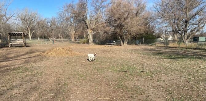 AC9h4nrmHUS0ynHThReyBK1Y8 8H5LstnHgF9BJI8QxXZJxLqRrXh2rR2V9OCqp7oT772nF9J 9Ak6z6lCKXnL7mk7 Xc91baaW HBfwChyjQRrGL0ibyfRsUpcGCkpYviNWMdQppLPv9Aw1600 h1000 k no