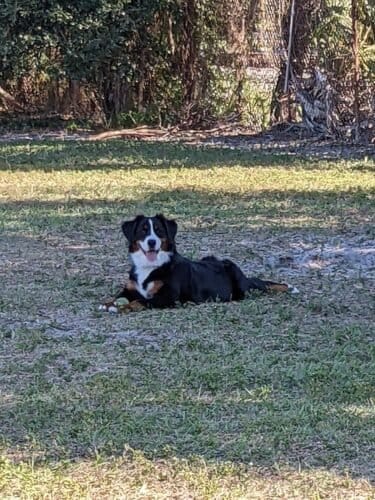 AC9h4nrmJj730foDLslByvco 4V UHLBE6pP7UZB3uUwfqcKt iMEhHAeM39t9YghkuRHYwebQgZSekOSMT2fMLWfVn56nOIrqG 9rcZTra1t73erWTW n1v93Q4BbUknApcuDtOv Yw1600 h1000 k no