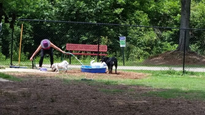 AC9h4nrmRZUutaes6igkeuGPfHoM01RUpxjBn7K4kjW2unWsErXQpRhhIzTA1zWEL6UX1ZwVf2fj4dg4OITL56k20KOUosX6HG3gT LK4ebiOZVk6vU7X8jz wCPQ90iYDIxNm1es8eew1600 h1000 k no