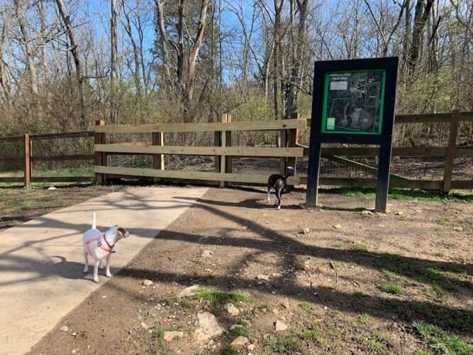 AC9h4nrmURtC4PfVr9EnqyFlAABlxj1ZYbOFkqMEyYLZnM6IZBVwW2lxdqjFz2Yo16 l0ANbMIQneLLA9GcJxh oc8dhKkIbc9u xIn0UpdM ibq0z7gXmjBDjGSYX7mvEoVfMMgW VBiAw1600 h1000 k no