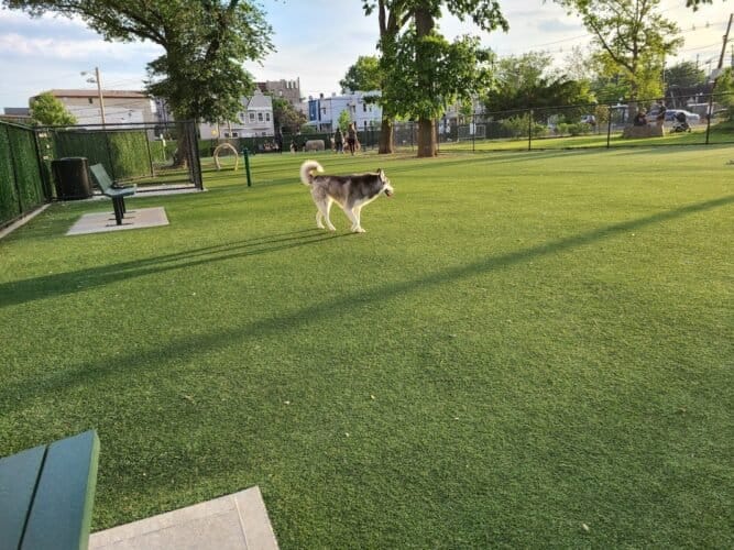 AC9h4nrmX5 t0pDBNeeEtAG9i3woHUBaoq1C4dz5lpLqwyf9wL4WwBmus6dS6NotXp7EUqLhSdlIIs9MGUvkH7Y5GkxEDcunrlPMKlmroGs2D6u1 A4at 2nDgsFym8l0Loa8FV4iZTKw1600 h1000 k no