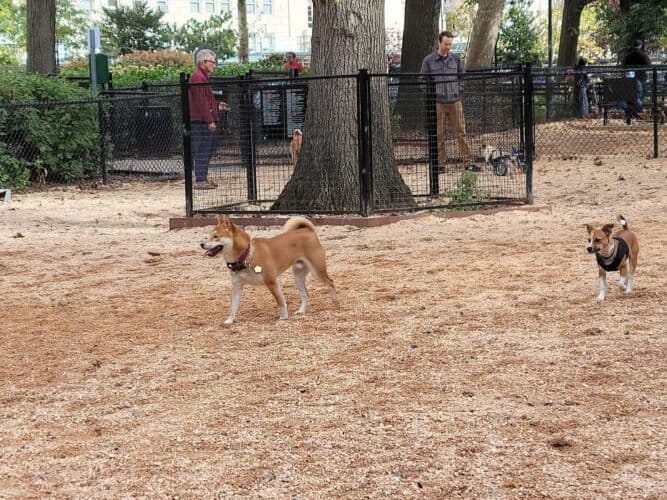 AC9h4nrmk8my5pXaJegdtldnasJApvUH BqnlXz7X7U7Dn9vXpRdXfG2vHOfo8LHsVHrlQ1vTBqlfxTwUAAHkzMrEMnRhurdB8oE9z3GP8eYZ5Id Wvou6QJS uX4bs6cgQQ2zXgrHMw1600 h1000 k no