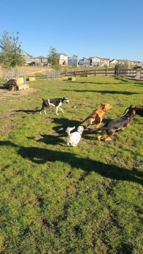 AC9h4nrmweKTNw4j9LGViiX8Ajeq7PVaHRsQdTfMyDu ov3hxOsfBBh6k SH59Wu pA5TsraCcC92LqOfleN0S 51afG39wBNxHlpHnIEGMkqRTlTRetootMmNbfTnhiSVWM4Fngyk 2w1600 h1000 k no