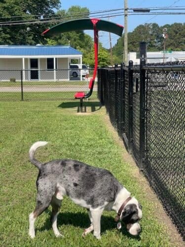 AC9h4nrnGMTvT680TbGAszPRa0igYqru7DRiF5DydkDB2pWHWds4QWmFhpTgWrYQ5kla0oIrrYEwKZq7ZWPIr5i1QeZOg97rnKkuAKpIuMYw1600 h1000 k no