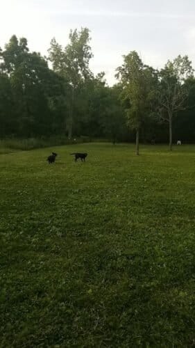 AC9h4nrnPeNJvR1uPSDdqSVX2j6zVigM2wqkO2lut3RWwBjg7ncs cxix79uXhdjr 7Rb7h76yd0e4xjkTVIWwD59YRjVxxFF2b7HnYBE8O4IbD60yhIVIAW P6UtZ 471NYL42ldeTRw1600 h1000 k no