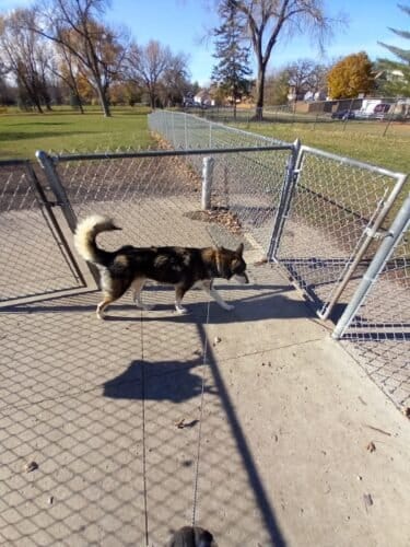 AC9h4nrnPvI5e kvLjeB RuYBIvaA MPTRRA340j03uajt4NoQX73ZOYHqK uNP1vM6f4pv4wqQKMPLmba6MD Oh rHlwgLolOiAhDLGNTyyLOhvD8KRPjOvgxQYFn6F7pLNuEvDHGMRYQw1600 h1000 k no