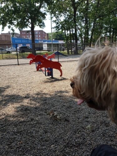 AC9h4nrnTVSXyQ3aEJ  NfQ3AgKZjugxOT3kbrVnwlse3QzbOa0Kuw0i8CkeOUsIJpehcBmbz1E0nMY9AdNADRobXVVNcSDaLko  kjcuL0HedGC3uEUc4c2sSgWv5Ij yQ26JrNDZYw1600 h1000 k no