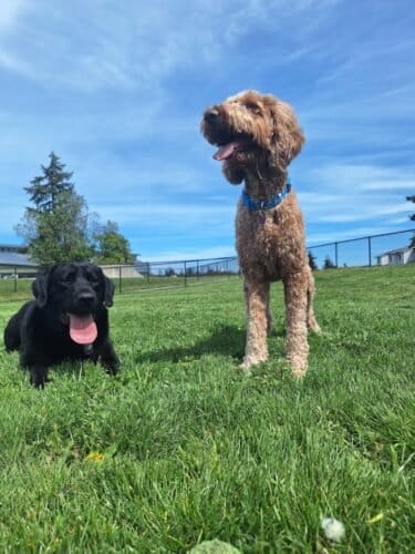 AC9h4nrnWWGB1kGXMfqzS7euPqDnONt4wNi4soe21mt3XKVoKwJ37QENhwj0kWvM OpnvGr 1FyIM zcTUbaDIb093CORGPU4BPaIPDv csw1600 h1000 k no