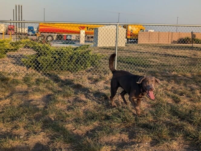 AC9h4nrnWeE8L8JcYbdNSRgV55KgudZajH2zZ an3OcQ0KSpm5ZDHx1bWBEfZbUSMBvxQU3sQE986cYiMOMdCH06L lFj AuzJ3W UzVs9a4QtNa QzXV7Xaa7iItrKx7Fda3n8h4dB8w1600 h1000 k no