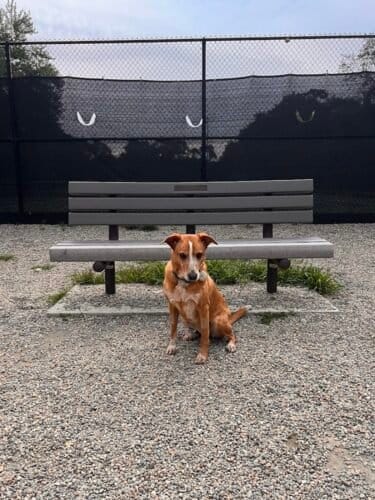 AC9h4nrnYM3cPXgKtVTDi pvqcsv CkpvNtVypCwWujoIbK14zEQEIeMoEipADrlQqgQuSkdMNru3jKiaVoqxQTwOTkKtoMKxoAN0evyaNneX1ylQ0ZBdj 0mxIzZC lCRwBjDV6k3Ix ww1600 h1000 k no