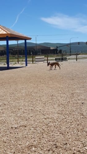 AC9h4nrndGJTQ2iTqX TfgFZ1OuqB riEIup9dpY veyt Gpu 6RmH66iKFU327Oxtx5fy46pu1bjiKaMVPpEJpY7BYIMn3VijLQCCJimEFMrrrQmG9 oaWt Dig219hG6A rqVlKjBbw1600 h1000 k no