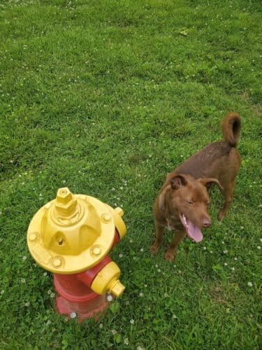 AC9h4nrnft3Kgi  SrmPdLe9IniGVne3CpaintYyZ7dxPG3y119nXk CO8bQTFRGLQKZo YeCgDAjgqzrdrtoTXNoNdM7L7swiyy4fPiwGL9i2M1WN8SSw01hQPGfaa45TB8kce 6szENQw1600 h1000 k no