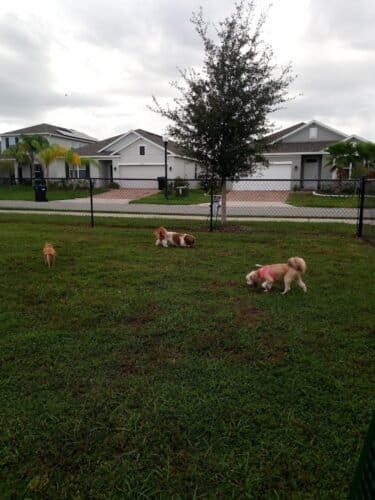 AC9h4nrnwWioFghYyMeG7Fa3lzUjDndW yhdacuu141OWkrDq3i6pjuSb24plKxStkfSWTkp Ln9iT s3IzvndQvJuGIoqERKN  sY oBbdiriwo36BpCMOYNgfn0PoSXWZkrtJrj6qDw1600 h1000 k no