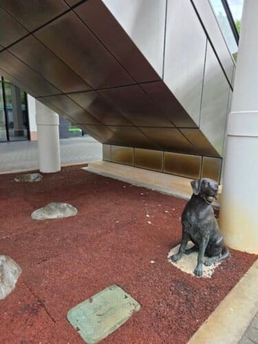 AC9h4nro5DVIBikyeqsNd2M0G0fVX9nzSpYJSiT1vr4JLxVhpokXPLgo7U0v82UptuHlggry31Mxp60tE3YNDIF46rJyNFdWAE4n71WudDpg7yi1NGfbxjrWR6pI7YrtNspa9UPhjDMo29HMprsw1600 h1000 k no