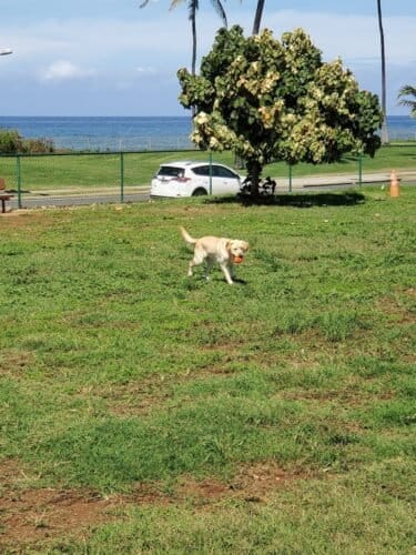 AC9h4nroDdl2b5lG0bJbsCd7QPNANyOdaG9UAELpxzx8RWcp1nxwdh1 bzbwg62 ERnNlgRhngnGcgVpnhXpjs52RvOOoxrFa0rtSANzt4xppLa jyiysgfW9K4ymWYTDp9uBkyzllMKw1600 h1000 k no