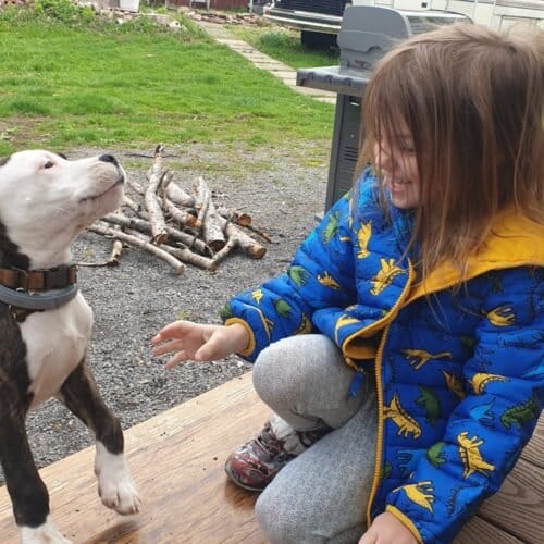 AC9h4nroRHCv HTgsMiX5HBCGAa3DtLPLpgksvWaxDOc2Ye YtNjB6MTu7oSZumeR1TK7l0XbUmFPoTwZ1f iihWugM4HwKtlUbhrA0 Aw3gDLoMSP8T11VprN0WdES1hApMhNzsx0Uw1600 h1000 k no