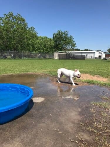 AC9h4nroWt3YTKbr2TFiHNVds h9OAqD57EbUzv3IdoUAsC fxrN3VGYZOTUnXMGMMWT6LyWJqS608MyRxyDp6tUAx22WQ7iRH9sQgASFww1600 h1000 k no