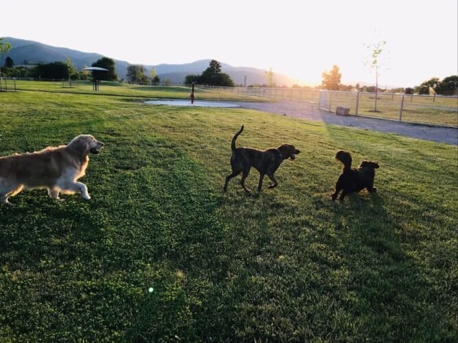 AC9h4nrottb58uT231VQjLtf zDPObjUV4uRCC06bv bMbcUc0JbZdHMgD0I0PD3s3y5cWgLFYudCUqm9NMwcdstsL8w2lQqkJeRtpFMecrIGP3UFtifDWWzxM56ZS09S4gDaIQqttH6kAw1600 h1000 k no