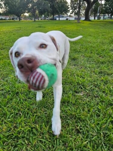 AC9h4nrozMiKwGz6tEQmDcISJ2ze9ltpOJI0cy NHooUv Hrtv403P7Hl3pAaoOfpR7 spSVlnBic34hz8DwyWAOOBYQw773RvijZ0pjoMOeMOM2Z40So1ArHgDI CF5n HgnzLJBEgw1600 h1000 k no