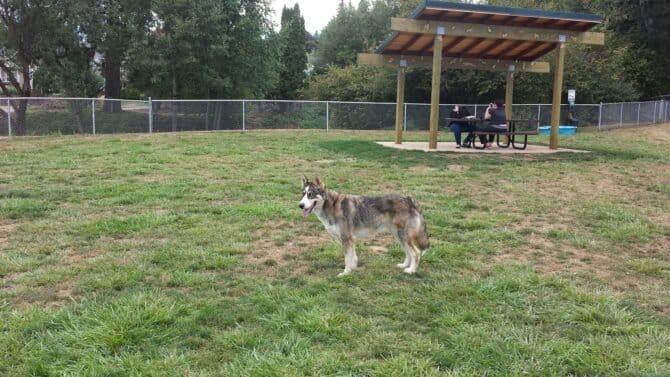 AC9h4nrpPJEMvotuaf5kEng1ffhzWjA0zQetKZNdKC32DUqPvCAVfIUVCZXipUL9K7jV97rmwHqlI8zfg7zRFnyxuQ2dmvrl2 Xf2KIHubD3R6UMHDD2mp9FMAQyUAPruCuJABdxozM2hww1600 h1000 k no