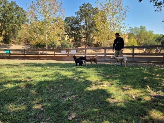 AC9h4nrpTa5ap4vBDDEFdS1abw9xEVC2 U8 Aag00HWwFurDHByQQUPjIZannVwJLQiJ 1leP Gd3Rk69 ACtulO9CDmY Xr7bjAYYgXg3nHPoLbzaPcsvCXiA4WbPDAHbqNB0Bg8w1600 h1000 k no