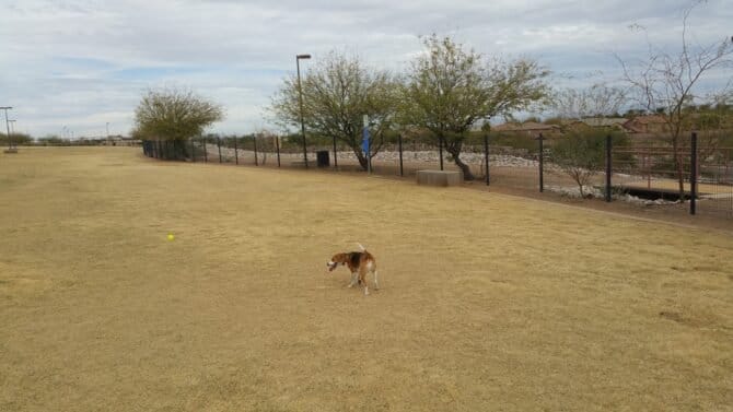 AC9h4nrpUsYGaKhEuhWzjxfhbKzSzDZebQW7 tM72K1oOipc5rZ gfnzZxTBjp6Dmy XuJOzn1AnRQR8EoxO6z9yuYq dgPS opvDZNtZja7mu3 fPO1d4AxkS9bppvLrU8066IkW6VIw1600 h1000 k no