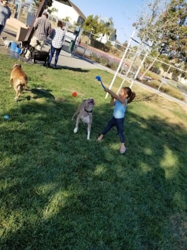 AC9h4nrpYRZxKFG209rx 9CgHdffbbrCF6eINmyRjnWGmy5ia5DgD OtU5t1U0gmGWTTOfx4OE 6XQgpM8abx5L2Q51tYqVo4t5 2s3sXLrXsmulZjzTkIH856bGSaAiBQkgWmJzrCDdw1600 h1000 k no