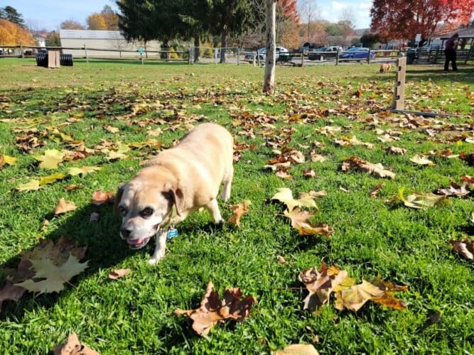 AC9h4nrpZd3VTySO7uBnXYD tKzI1hRWqYJ8mqbjZzq7zNpmNK awV59gz2YLu8cX5P0fka1i2gixltxLNTqTbvqEpFcOoKlPsB3j2W VtPjxSJIdTAAsMvM2WnE6LJS5SxRgGEbTPAw1600 h1000 k no