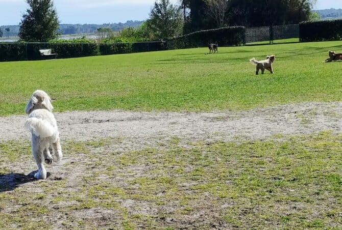 AC9h4nrp EuQtzC1kcKLsasG40qEwr8ryVnC vKb25oyaGhMo8OQytcJLIakCt8bCs7LlUl76tRj4y MolQ0vl1p0Z qhKvoQmeyXutlN 5FLfvaYgCw1oxP 83TpFivfLYU L00Yqu7w1600 h1000 k no