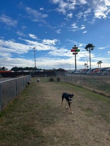 AC9h4nrppKnZmD zhpWlxQnlSlS55iWuhDVAVnaFDKPU1 1isaLBBz1tJCUFr1NtlUsAStu256OYQB qt28A4PSoIhEkjfW2rtc3ytuBxlKiT3ji4TB4KM2xBYr5rOWbNzmovDuip6 7w1600 h1000 k no