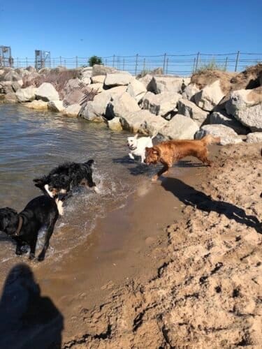 AC9h4nrpy5UqtD5iWUdm2HZ8OZMfxi OlmQ qwsomVzx JofLOcfWHsQGS3xNfM1tgW07pxjrPNh2CKKaZq JVXdCX4TvDnLEVmubnmdFrmd2JkigrXCJAgRaHjnl DPlNAEpBV6 z3ipQw1600 h1000 k no