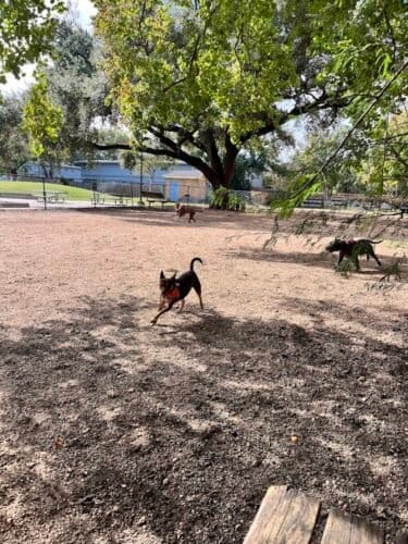 AC9h4nrq15lU1EzNYByZT2YWnY4l3raL6R7RB53SX7b3XEkrv3NPeZ9shUwB6j4G5pPg1EGhjsPTx7CtcNMoktIKyAWJ0l EObgIR9NduyIw1600 h1000 k no