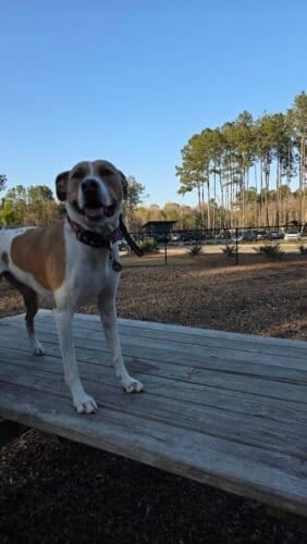 AC9h4nrqF2tR jR5lSuHJSgwUo5hQ5 oxrSSlytdppf6rpTTMWfaNzj9JpzlhVvew 9YVqrjTEG wULeUNsjHggGsn Kx5KxTuPPVWxmaeIUrHU Z9 ErxDHEcgsUJ2EUuzrLqw28QIMtzp95aMw1600 h1000 k no