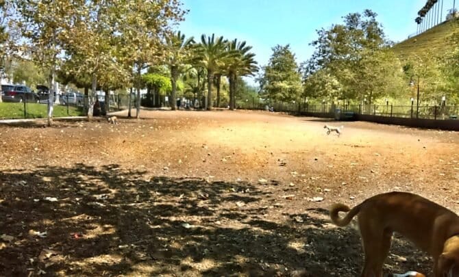 AC9h4nrqPi dCSRNhL9u TqyJ ztHFOBY  W21d58kco2O77V5O3YwfSefProxAKL 5ldDYjr9sblnv8XPAa ueIJC8rNDvKS5Wxuu2dd7M0uQuhliDC T1Rlj1pQX1IGJsMDhv5OeP0mww1600 h1000 k no