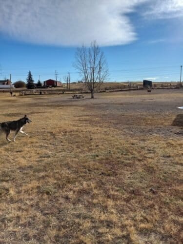 AC9h4nrqV61vxPOI3VPZs 8EL07jtyLEa eyjhCxF0UanoQvUGw9MrOGpkzvMLVsJUqJKNbKHy5Tn5Ey0aag9SGsHt5O1yelKyj5nk lzFxOoaeN7pHcGiXVDec9UAFsBpxNUJUNS4NRw1600 h1000 k no