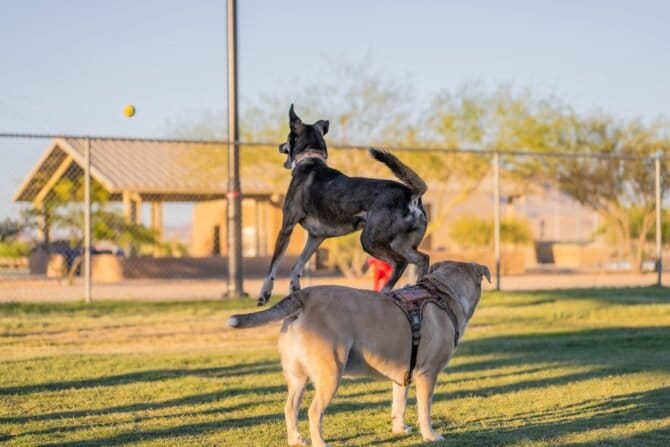 AC9h4nrqhwpU0m4frW8lP ZnhGePiMqEZjVfB8d7N58Cd9ZJc3ZTFxnSUX5lthdXC9iyntiFPgxdkAK DH9OtIfWpCjiKMyuK9NMUWUSSBPoZo55tqhmm7GZ6KZA0PRJOZT7Ef88al6h7Aw1600 h1000 k no